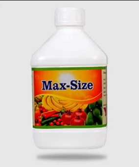 MAX-SIZE